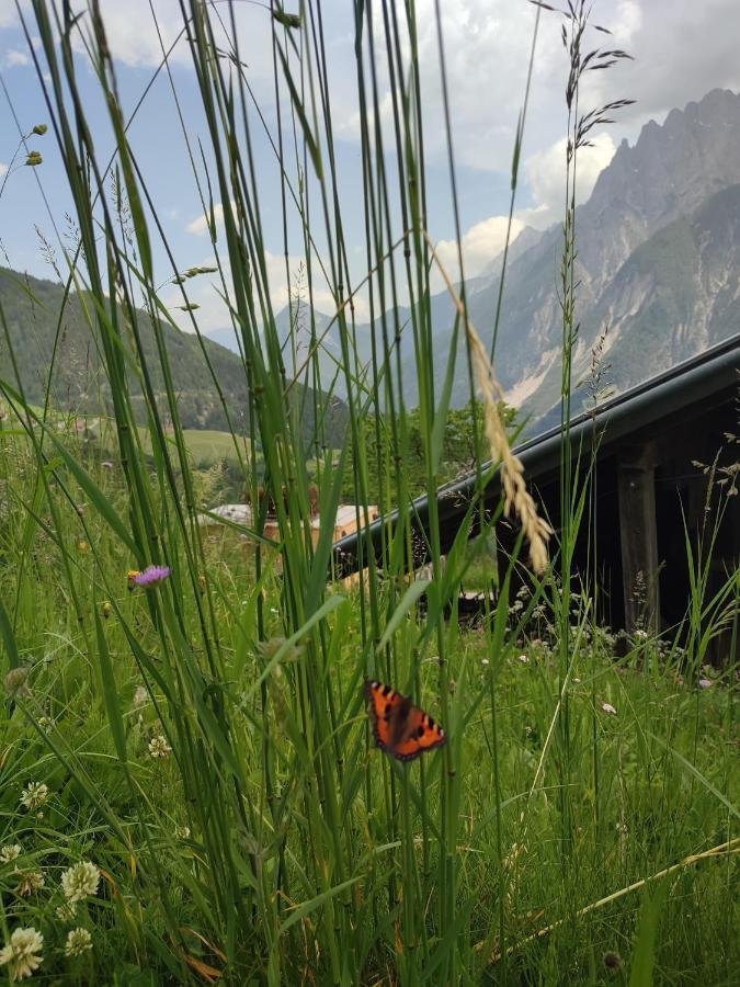 Appartements Obergollerhof Assling Eksteriør billede